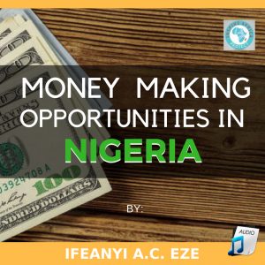 Money Making Opportunities in Nigeria